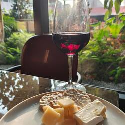 A good Montepulciano d'Abruzzo in the fading sunlight