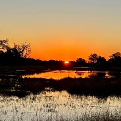 Sundowner African style
