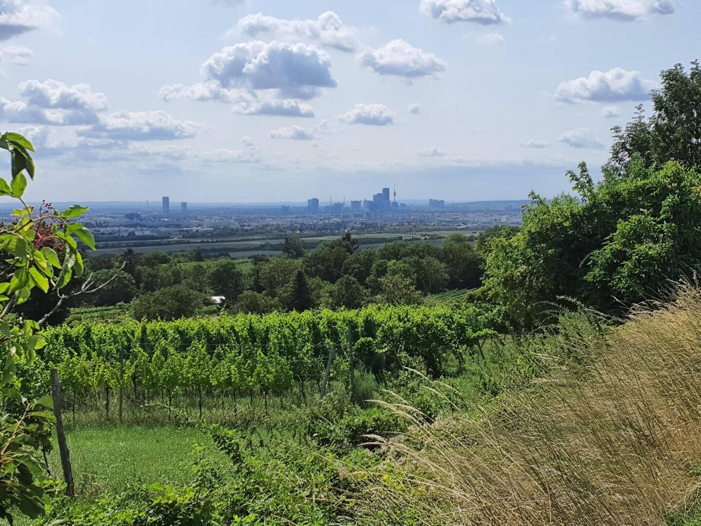 Blick vom Falkenberg