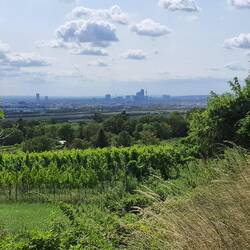 Blick vom Falkenberg