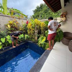 Wo ist die Schlange 🐍 😱