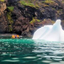 Trip out round the Icebergs in the Zodiac