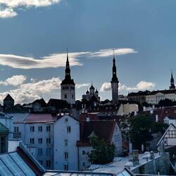 Der Blick auf die Altstadt von Tallinn