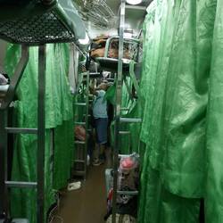 The pods starting to form