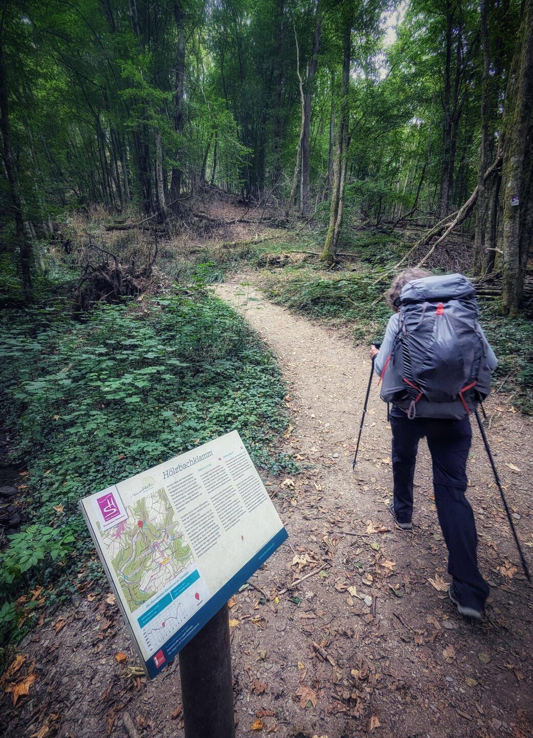 Einstieg in die Holzbachklamm.