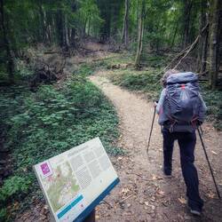 Einstieg in die Holzbachklamm.