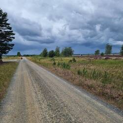 Und es kam schwarz - immer wieder