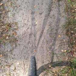 Sand, Sand, Sand🤪