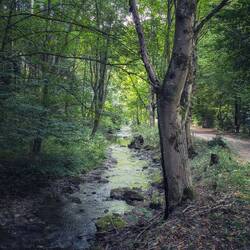 Bachlauf am Campingplatz
