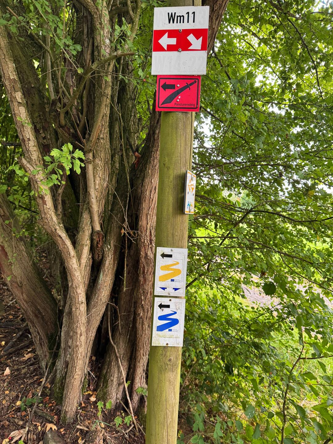 Aufstieg aus Waldmünchen