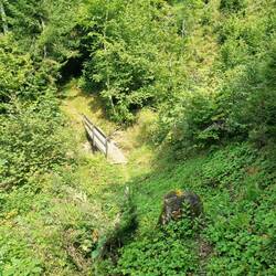 Durch Wald ...