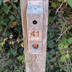 On a même trouvé une balise de co...si nanny avait su, on aurait fait le parcours😥