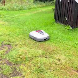 Definitiv mein neuer Mitarbeiter