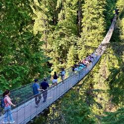 Capilano - Suspension Bridge