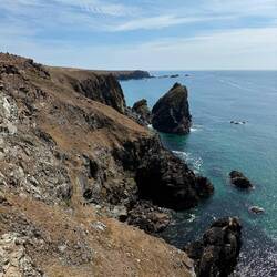 Kynance Cove coastline