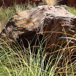 Strippy layered boulder