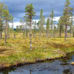 Abseits der Piste, hinein in eine tolle Landschaft