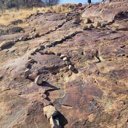 Die einzelnen Bilder sind eingekreist , damit man sie nicht übersieht.