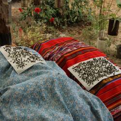 Flüge hed si e chli z’viu 🪰