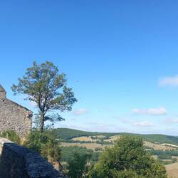 Des hirondelles partout 🤩