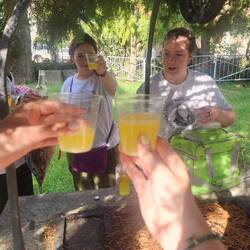 Drinking experimented limoncello