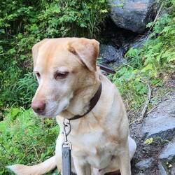 ❤️Lieblingstier❤️