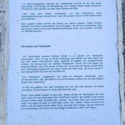 ...Waldgeschichten...