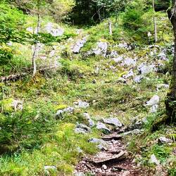 Wo ist Charlie? (ließt gerade außerhalb des Bildes die Wanderkarte)