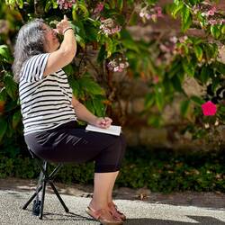 Proportionen erfassen