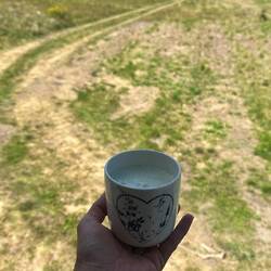 Frühstück mit Weitblick in Ungarn