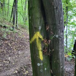 Ein Pilgerweg ist das eher nicht. 🤔