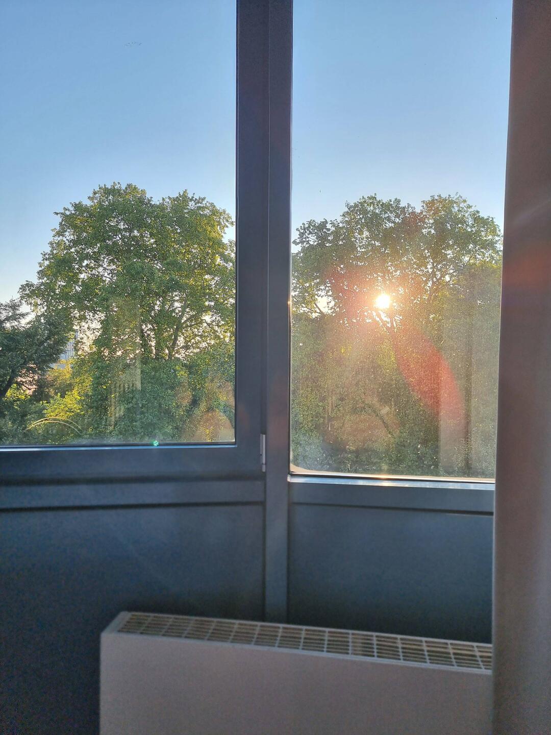 Heute wird das Wetter schön