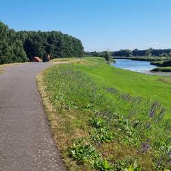 Radweg an der Oder