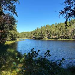 Tiveden-Nationalpark / Wanderung