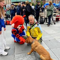 Unser Hund mag alle Tiere