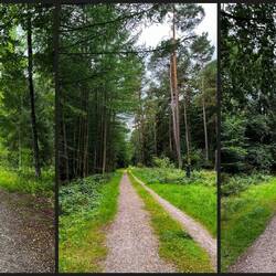 Geparkt in Wahlstedt, also erstmal ewig durchn Wald