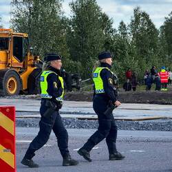 Haben alles im Griff, die bunt markierten.