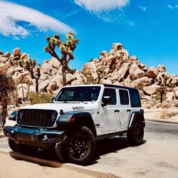 „Joshua-Tree-Nationalpark“