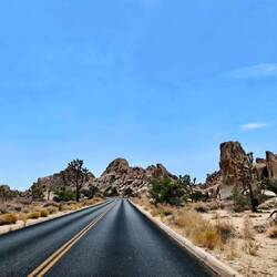 „Joshua-Tree-Nationalpark“