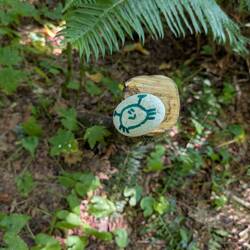 We found many painted rocks and shells