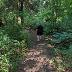 Cindy hiking in the woods