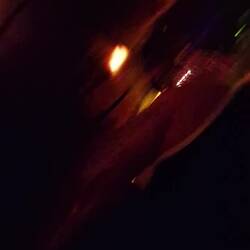 Baum auf der Tanzfläche