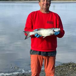 Hat geklappt 🥳🥳🥳