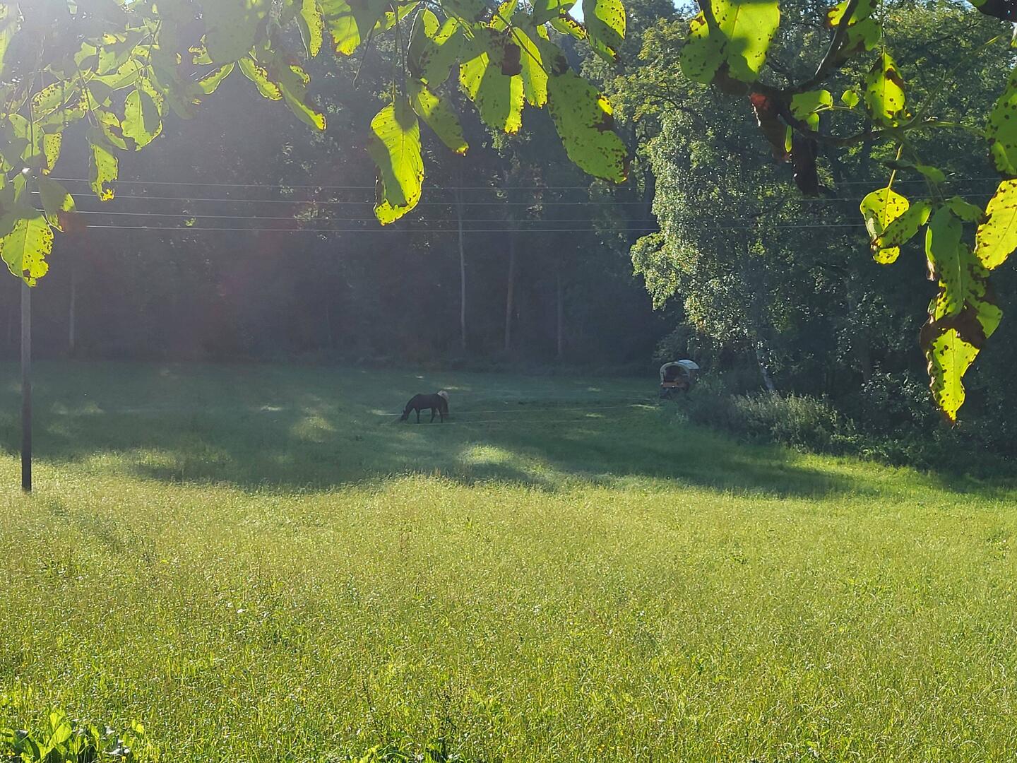 Die Enklave von letzter Nacht vom Haus aus gesehen