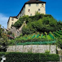 ... thront über der Altstadt Feldkirchs!