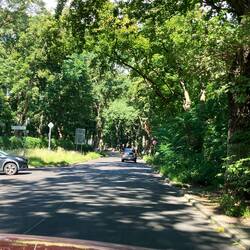 Havelschaussee durch Grunewald