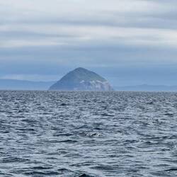 Ailsa Craig