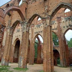 Die Ruine der Domkirche