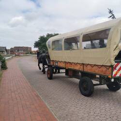 Shuttle Kutsche