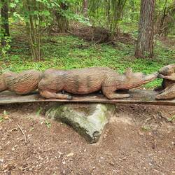 Doch was sind das für Gestalten???😾